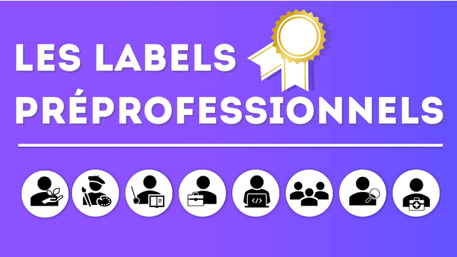 Les Labels préprofessionnels en Licence 