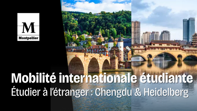 Deux opportunités de mobilité internationale à saisir : Heidelberg et Chengdu